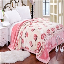 南通家纺顶级拉舍尔加厚双人毛毯腈纶毯正品冬毯特价清仓批发