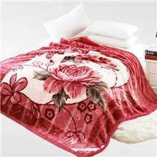 冬季拉舍尔毛毯批发双层加厚水貂绒毯库存成人毯子特价厂家双面