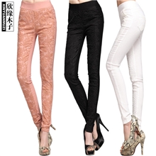 2013秋装新款弹力小脚裤时尚手摇绣花修身品牌休闲铅笔裤12