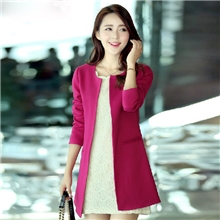 2013秋季爆款新款韩版时尚小西装风衣女中长款大码修身外套