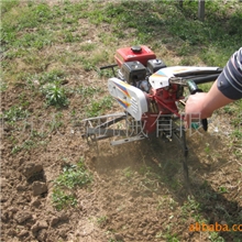 2012款沃富矮脚虎微耕机，旋耕覆膜起垅打药开沟，低价质优！