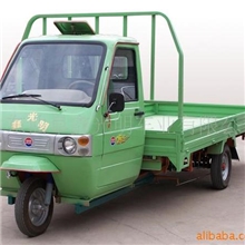 最大的电动三轮车(图)