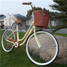 厂家直供批发非折叠26寸女士樱花普通凤凰淑女女式自行车26寸