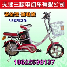 供应"14"款Q1电动车电动车天津三枪ARM电动车电动自行车