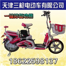 电动自行车电动车加盟台州电动车品牌天津三枪ARM电动车