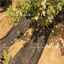 供应膜下滴灌产品优质膜下滴灌产品