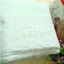 供应居家用品蚕丝被桑蚕丝被