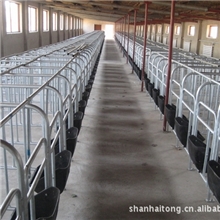 整体热镀锌母猪限位栏，母猪定位栏，单体栏，定位栏，母猪栏