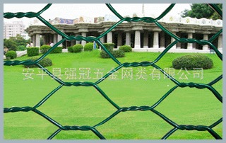 厂家供应六角网保温网养鸡网(ISO9001)