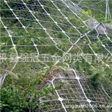 厂家长期供应SNS柔性防护网/主动防护边坡防护网