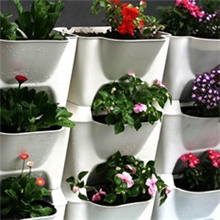 开心农场阳台种菜-12联魔方盆蔬果花卉绿植专用花盆容器1个装