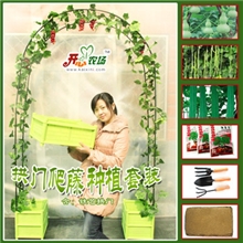 双深层拱门阳台蔬菜花卉种植箱花盆容器种花种菜盆