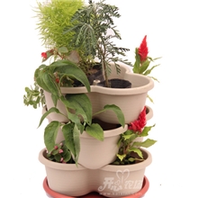 舌尖上的中国推荐阳台种菜开心农场阳台三宝四层花果蔬绿植蝶盆