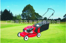 高尔夫球场草坪维护设备手扶式草坪机GL21