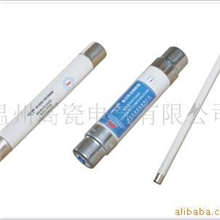 《厂家直销》供应电压互感器保护用高压限流熔断器XRNP高品质