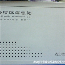 供应乐清多煤体箱200*300*100铁厚04/08家用入户箱/配电箱