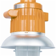 BAD61-L250隔爆防爆灯有ATEX防爆认证有IECEx防爆认证