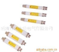 供应高压XRNT1-12KV/80A限流熔断器
