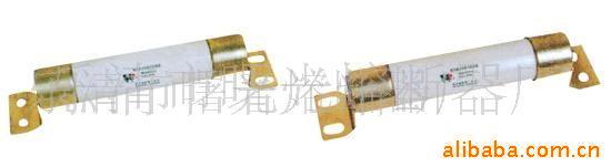 供应电动机保护用高压限流熔断器(XRNM)
