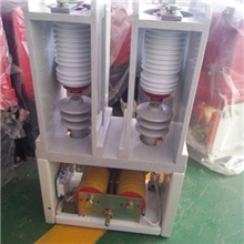 JCZ7-250/12高压真空接触器