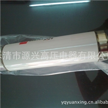 厂家直供现货XRNT1-12/6至40A插入式高压限流熔断（配夹子一对）