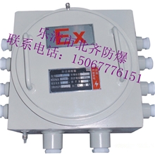 BXJ防爆接线箱不锈钢接线箱防爆控制箱防爆防腐控制箱