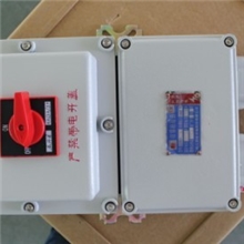 BDZ52防爆断路器-防爆空气开关（生产厂家，质量保证）