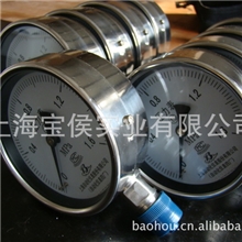 供应上海YN-60.100、150、200系列耐振压力表