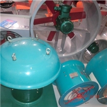 专业优质供应各种型号DWT屋顶风机