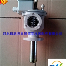 变压器气体继电器瓦斯继电器纯铝主体40型号