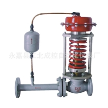 专业调节阀厂家生产【自力式压力调节阀（带冷凝器）】支持定制