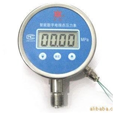 DH-数字电接点压力表
