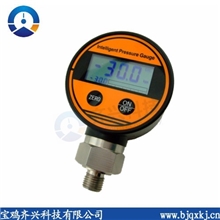 QYB108供应数显压力表（电池供电）带峰值保持