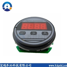 BT-9RS485-MODBUS温度表头(图)