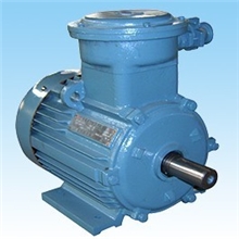 防爆电机、煤矿用防爆电机、三相异步电动机。