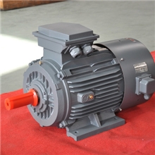 文宝电机YVF2变频调速专用电动机