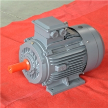 文宝电机Y2三相异步电动机