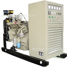 厂家直销30kw沼气发电机沼气发电机组燃气发电机