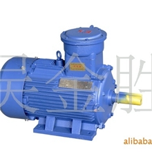 防爆电机，Y系列电机，双速，制动。变频调速。YCT调速电机