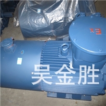 厂家直销批发防爆电机。YB2.YB3.YBK2.Y.YX3,YD,YVP高能效电机