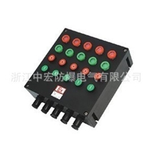 防爆防腐控制箱，定做防爆防腐控制箱，防爆防腐控制箱ZXF8044