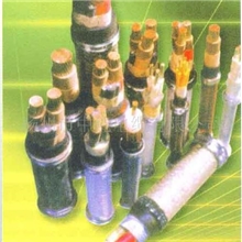 供应塑料绝缘电力电缆