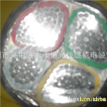 溧阳上上电线电缆有限公司VVVLVYZYCYJVYJV22