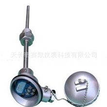 供应pt-100热电阻一体化pt-100热电阻带螺纹一体化pt-100热电阻