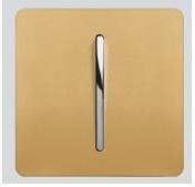 贵族系列一开单控墙壁开关金色