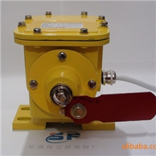 双向拉绳开关KLT进口拉绳开关拉绳检测器