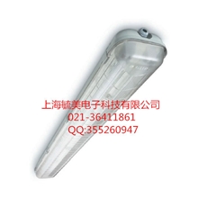 飞利浦三防灯TCW060