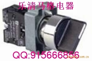 供应施耐德XB2(ZB2)-BD21铁头按钮开关(图)
