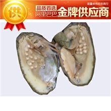 卓伟珍珠110423批发淡水珍珠中等活河蚌山下湖河蚌珍珠河蚌