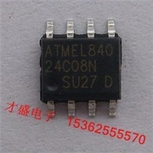 新年份2012+深圳房间现货PAM品牌单声道音频放大ICP8302A